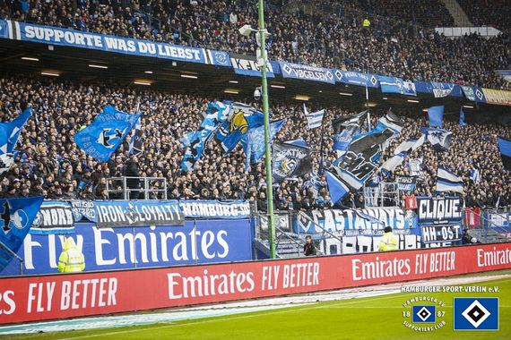 Hamburger SV vs SV Darmstadt 98 (2-3) (15)