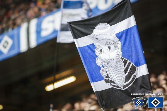 Hamburger SV vs SV Darmstadt 98 (2-3) (16)
