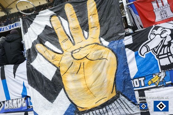 Hamburger SV vs SV Darmstadt 98 (2-3) (19)