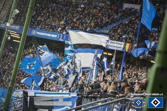 Hamburger SV vs SV Darmstadt 98 (2-3) (22)
