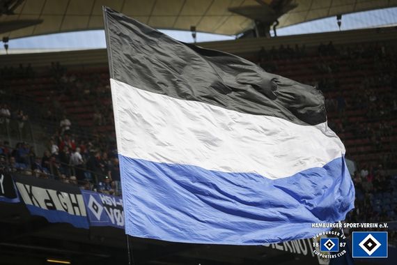 Hamburger SV vs MSV Duisburg (3-0) (1)