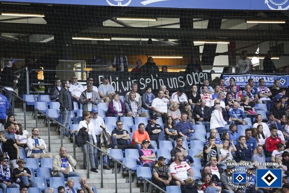 Hamburger SV vs MSV Duisburg (3-0) (2)