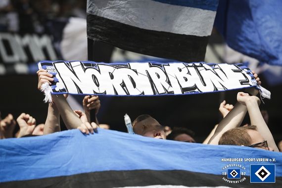 Hamburger SV vs MSV Duisburg (3-0) (6)