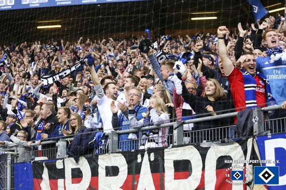Hamburger SV vs 1. FC Heidenheim 1846 (3-2) (19)