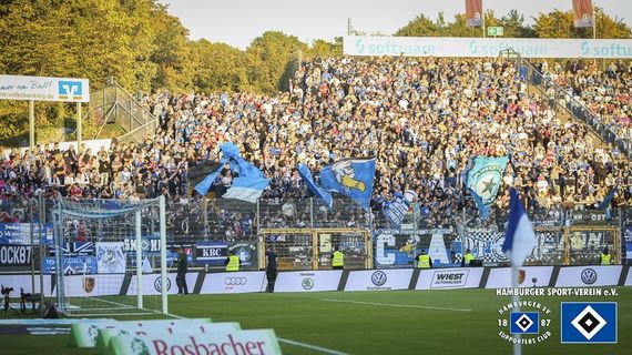 SV Darmstadt 98 vs Hamburger SV (1-2) (2)