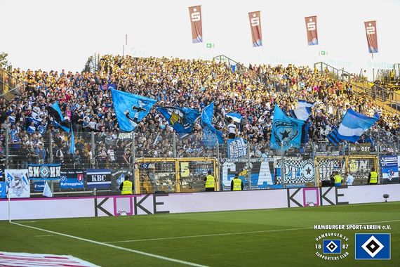 SV Darmstadt 98 vs Hamburger SV (1-2) (3)