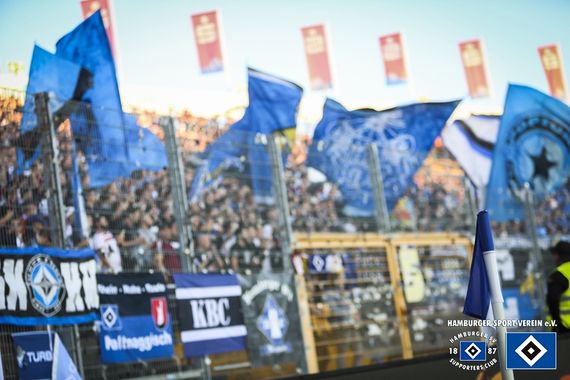SV Darmstadt 98 vs Hamburger SV (1-2) (5)
