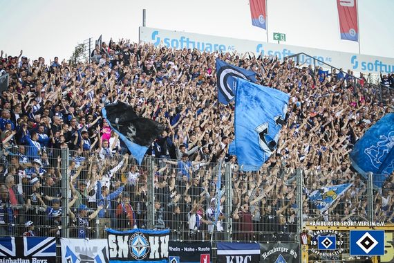 SV Darmstadt 98 vs Hamburger SV (1-2) (10)