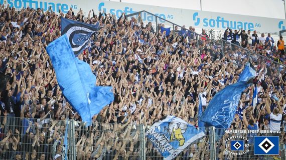 SV Darmstadt 98 vs Hamburger SV (1-2) (11)