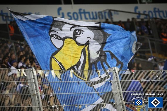 SV Darmstadt 98 vs Hamburger SV (1-2) (14)