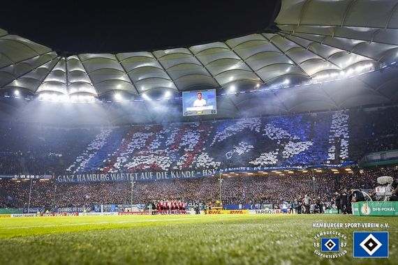 Hamburger SV vs 1. FC Nürnberg (1-0) (8)