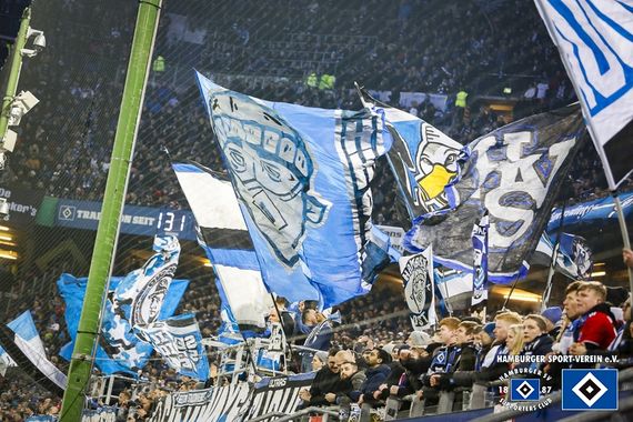 Hamburger SV vs 1. FC Nürnberg (1-0) (15)