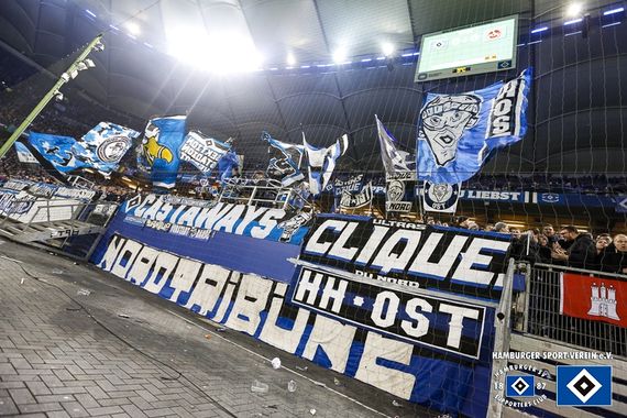 Hamburger SV vs 1. FC Nürnberg (1-0) (21)