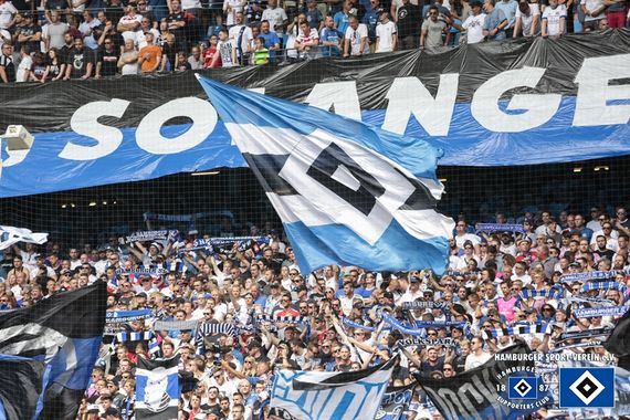 Hamburger SV vs SV Darmstadt 98 (1-1) (3)