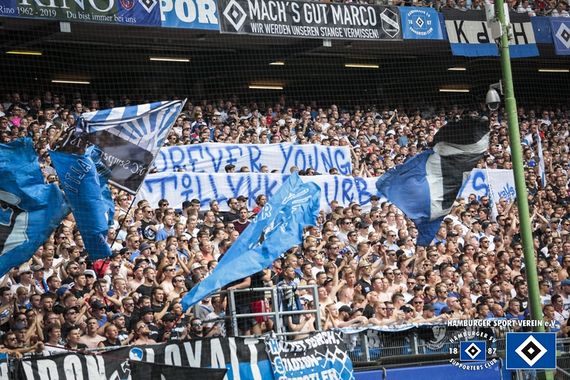 Hamburger SV vs SV Darmstadt 98 (1-1) (6)