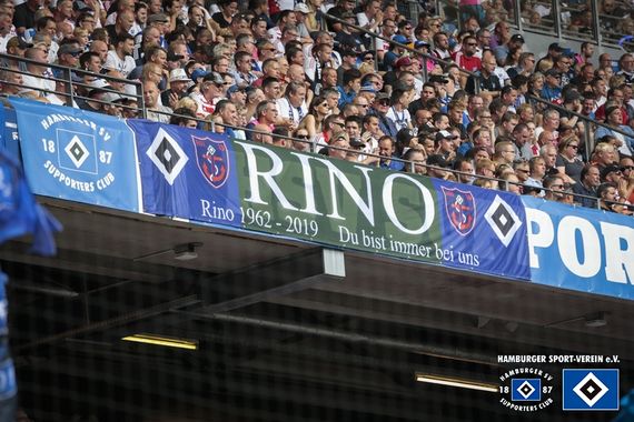 Hamburger SV vs SV Darmstadt 98 (1-1) (7)