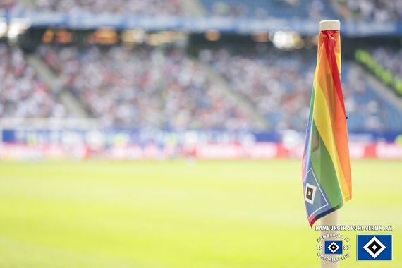 Hamburger SV vs SV Darmstadt 98 (1-1) (8)