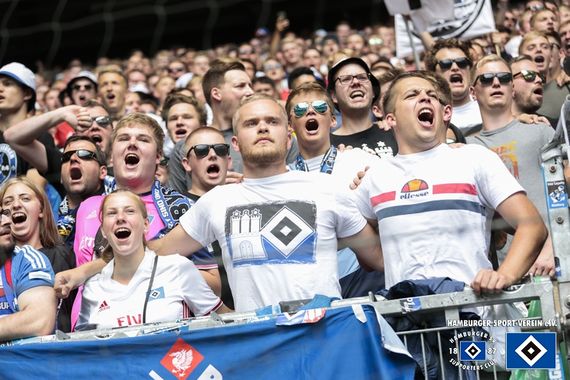 Hamburger SV vs SV Darmstadt 98 (1-1) (11)