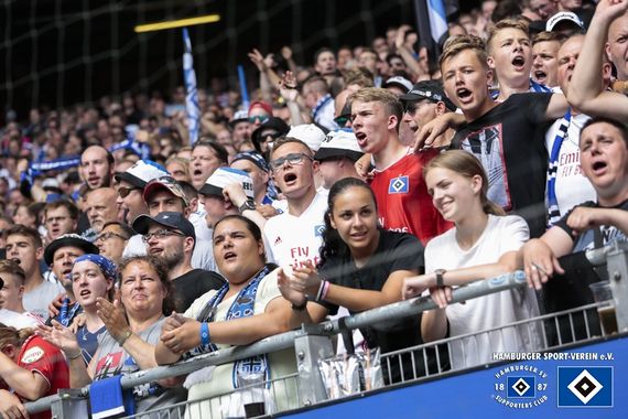 Hamburger SV vs SV Darmstadt 98 (1-1) (12)