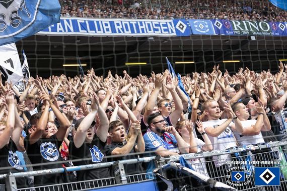 Hamburger SV vs SV Darmstadt 98 (1-1) (14)