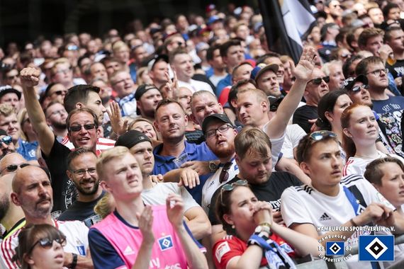 Hamburger SV vs SV Darmstadt 98 (1-1) (15)
