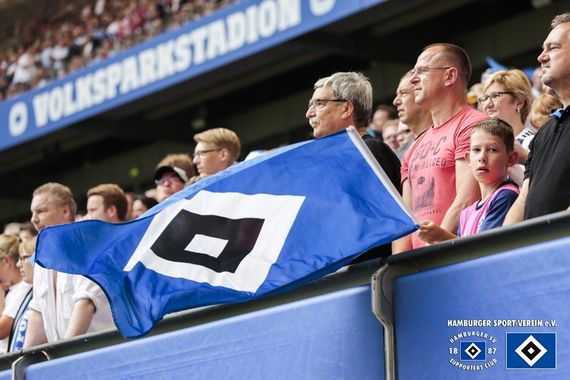 Hamburger SV vs SV Darmstadt 98 (1-1) (16)