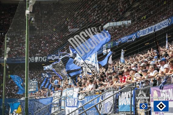 Hamburger SV vs SV Darmstadt 98 (1-1) (19)