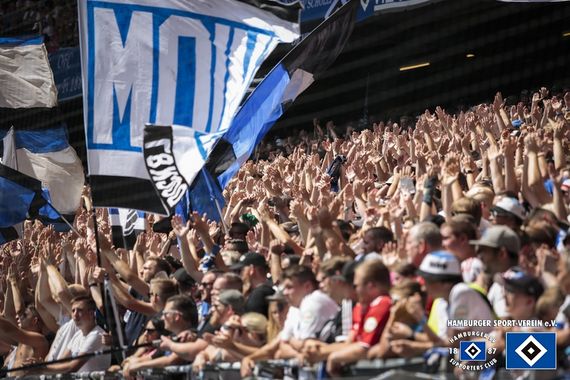 Hamburger SV vs SV Darmstadt 98 (1-1) (21)