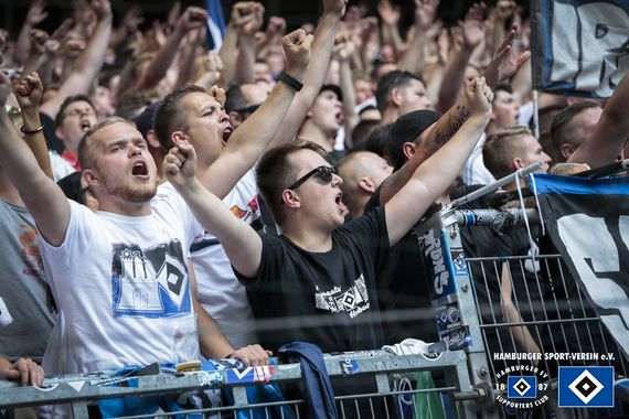 Hamburger SV vs SV Darmstadt 98 (1-1) (24)