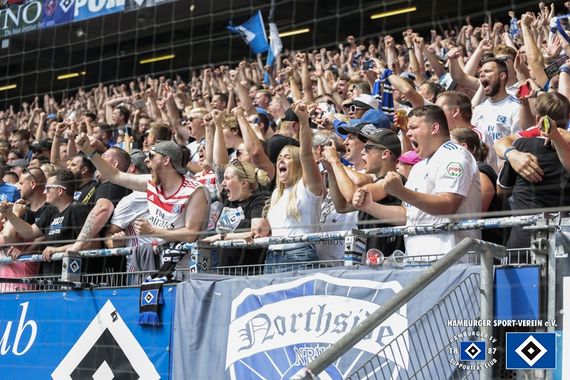 Hamburger SV vs SV Darmstadt 98 (1-1) (25)