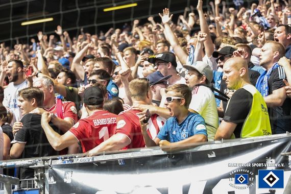 Hamburger SV vs SV Darmstadt 98 (1-1) (26)