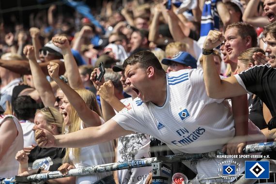 Hamburger SV vs SV Darmstadt 98 (1-1) (27)