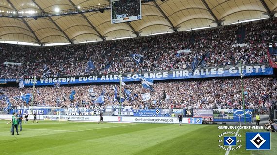 Hamburger SV vs SV Darmstadt 98 (1-1) (29)