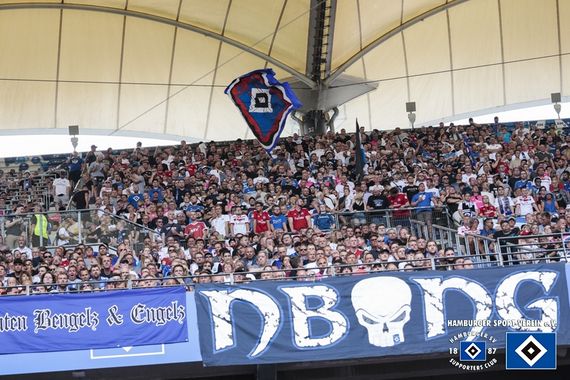 Hamburger SV vs SV Darmstadt 98 (1-1) (31)