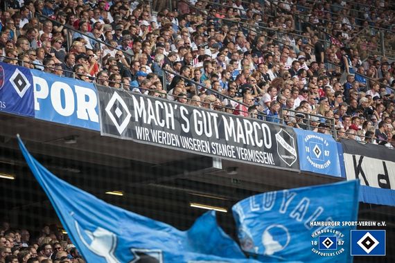Hamburger SV vs SV Darmstadt 98 (1-1) (32)