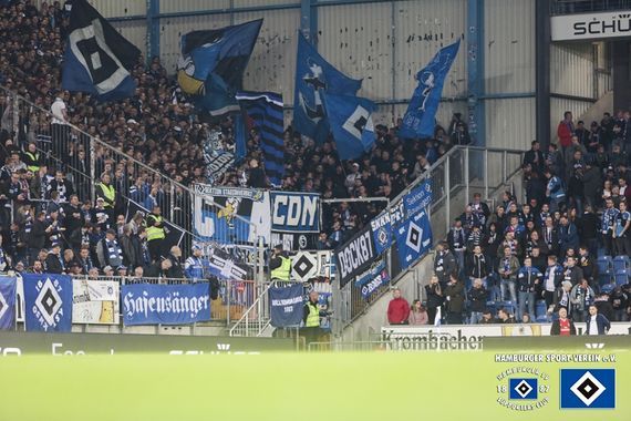 DSC Arminia Bielefeld vs Hamburger SV (1-1) (4)