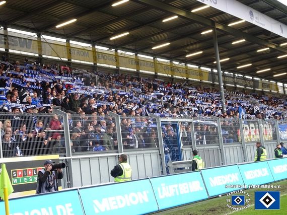 SV Wehen Wiesbaden vs Hamburger SV (1-1) (5)