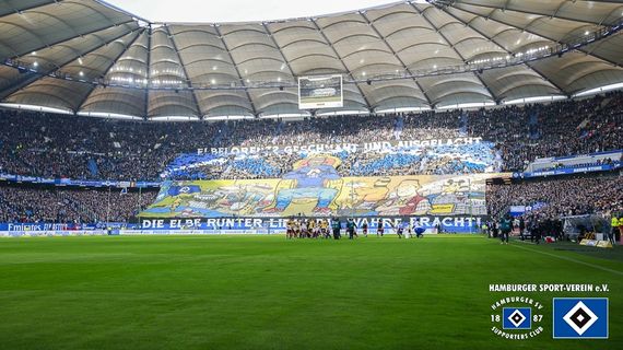Hamburger SV vs Dynamo Dresden (2-1) (7)
