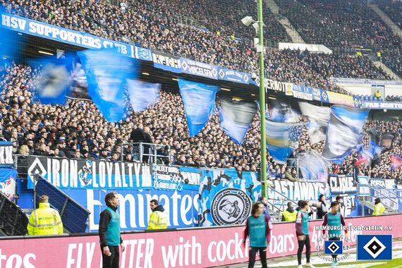 Hamburger SV vs Dynamo Dresden (2-1) (13)