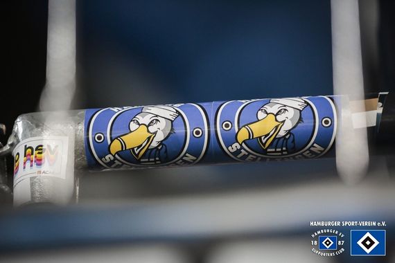 VfL Osnabrück vs Hamburger SV (2-1) (14)