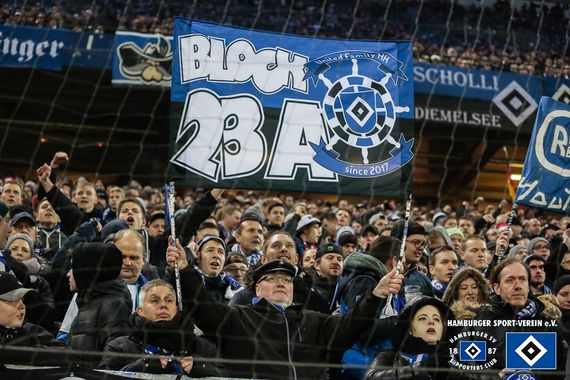 Hamburger SV vs 1. FC Heidenheim 1846 (0-1) (15)