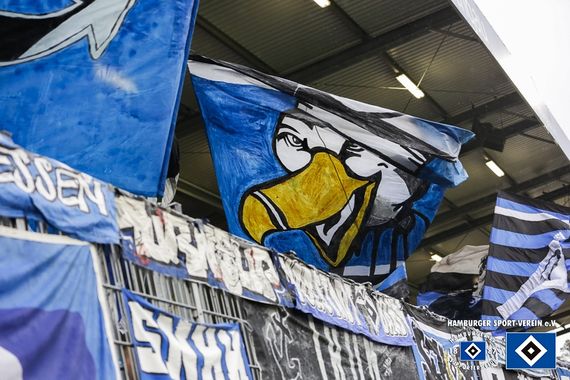 SV Sandhausen vs Hamburger SV (1-1) (1)