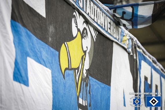 SV Sandhausen vs Hamburger SV (1-1) (3)