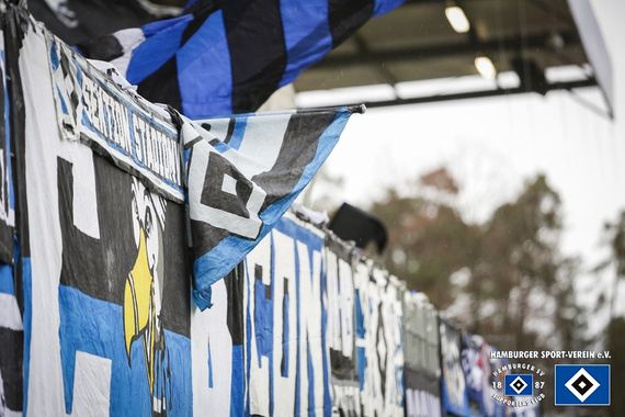 SV Sandhausen vs Hamburger SV (1-1) (4)