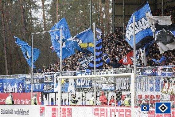 SV Sandhausen vs Hamburger SV (1-1) (11)