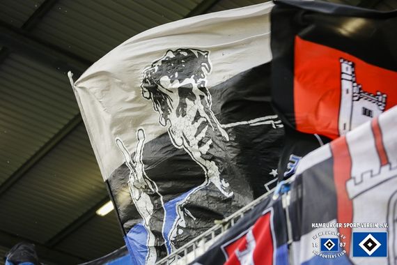 SV Sandhausen vs Hamburger SV (1-1) (14)