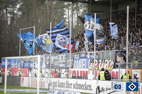 SV Sandhausen vs Hamburger SV (1-1) (17)