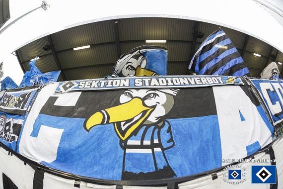 SV Sandhausen vs Hamburger SV (1-1) (21)