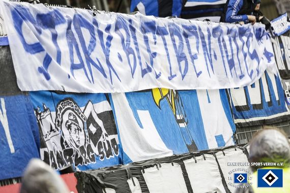 SV Sandhausen vs Hamburger SV (1-1) (22)