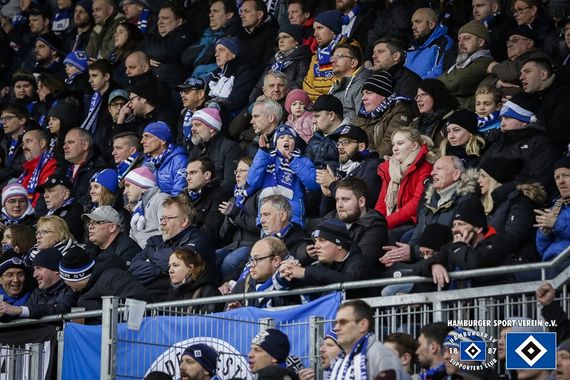 SV Sandhausen vs Hamburger SV (1-1) (26)